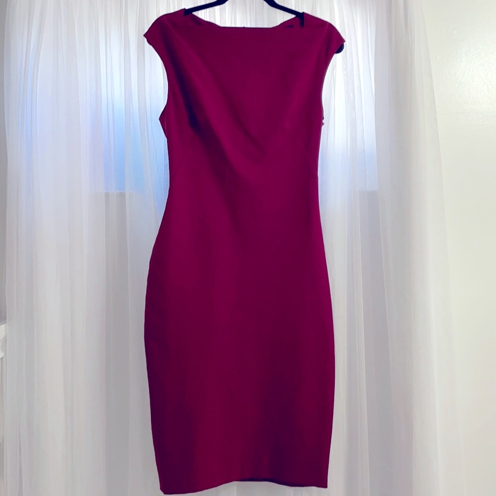 Zara dress, wine color, dress. Has stretch. Wore once.